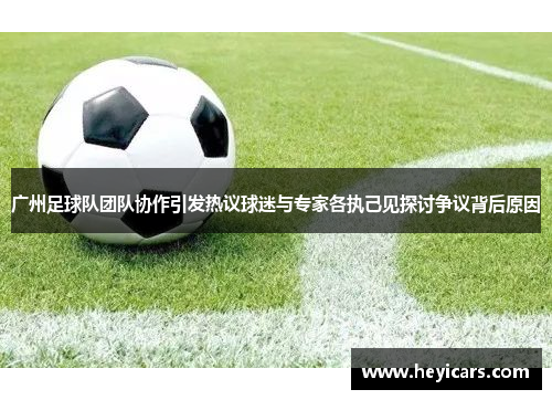 广州足球队团队协作引发热议球迷与专家各执己见探讨争议背后原因